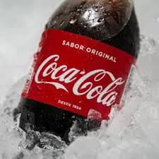 coca_2l